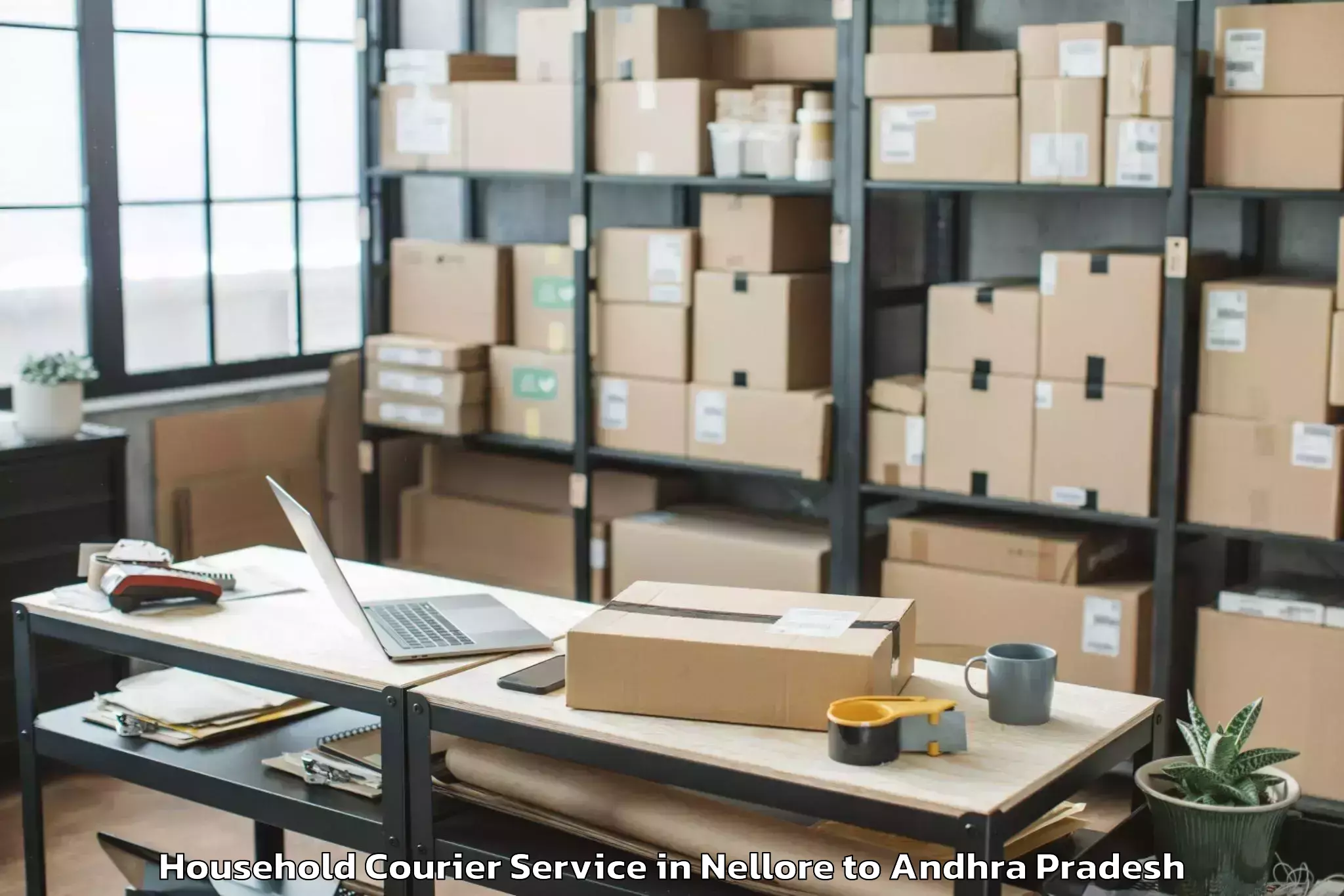 Professional Nellore to Pedavegi Household Courier